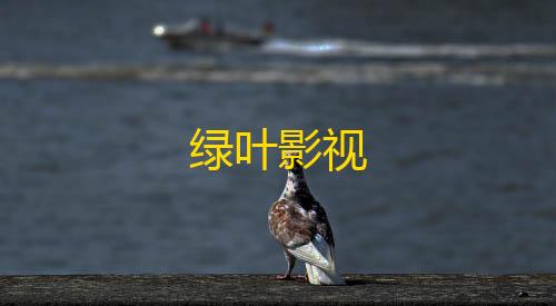 三角洲内核科技绿叶影视